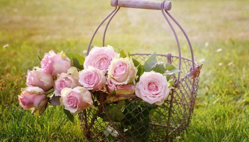 roses