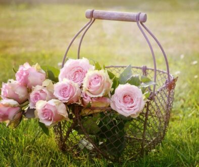 roses